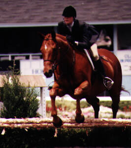 Devon
Horse Show